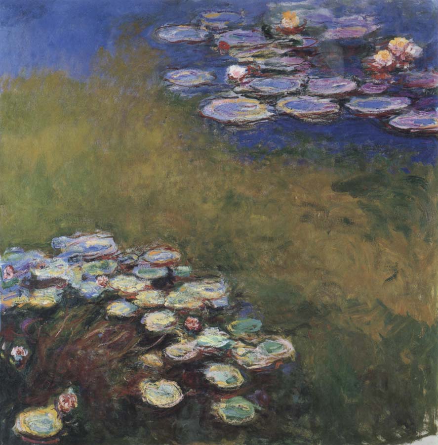 Water-Lilies